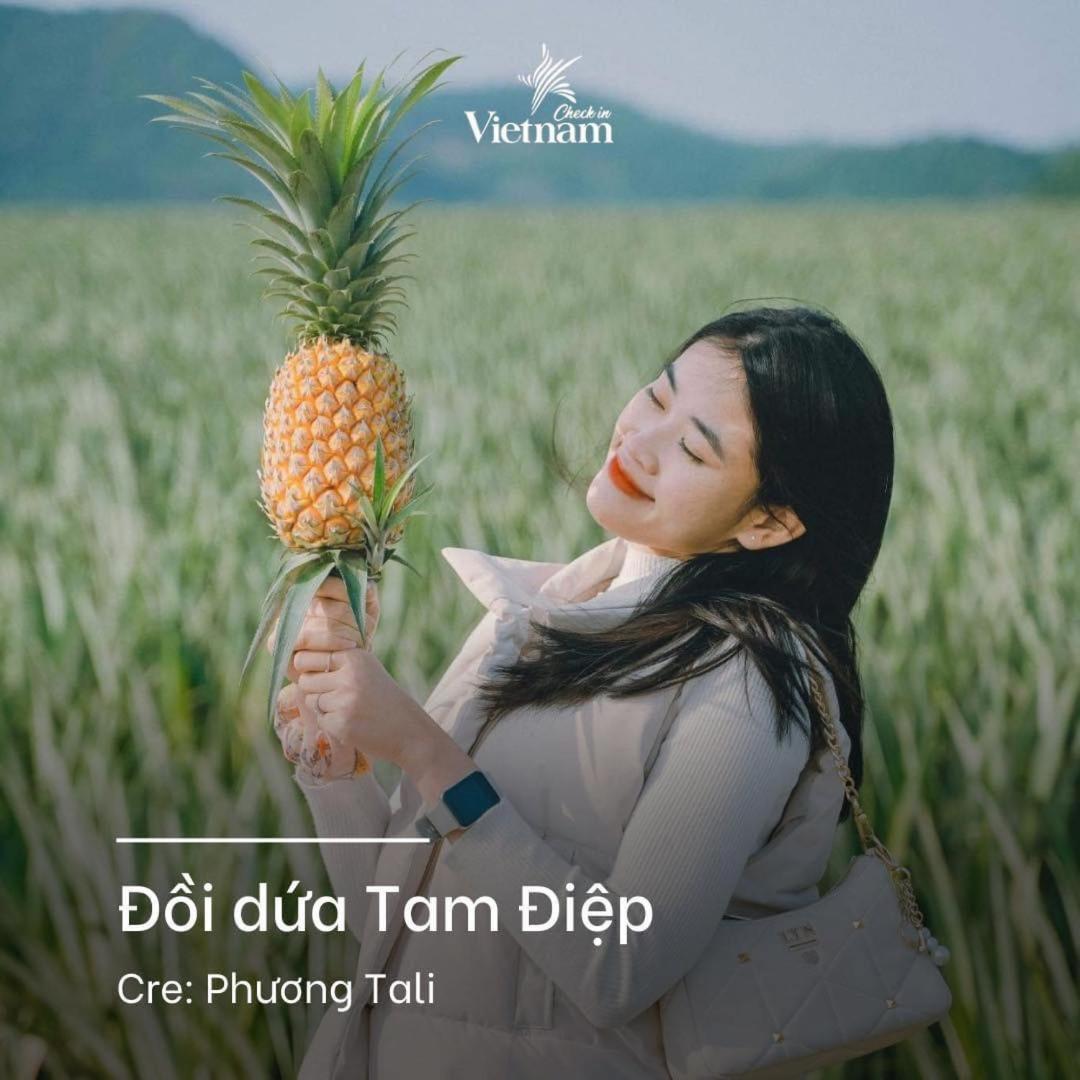 Cherry Homestay Ninh Bình Ngoại thất bức ảnh